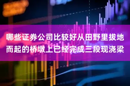 哪些证券公司比较好从田野里拔地而起的桥墩上已经完成三段现浇梁